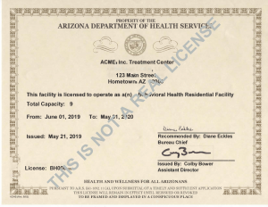 Fake AZ Residential Facility License